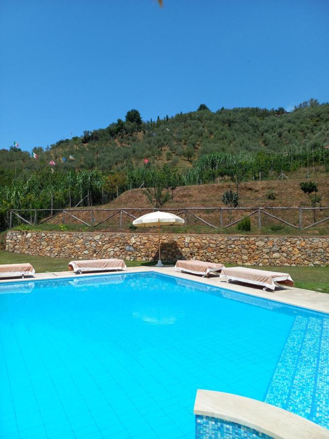 Villa Ester Camaiore Exterior photo