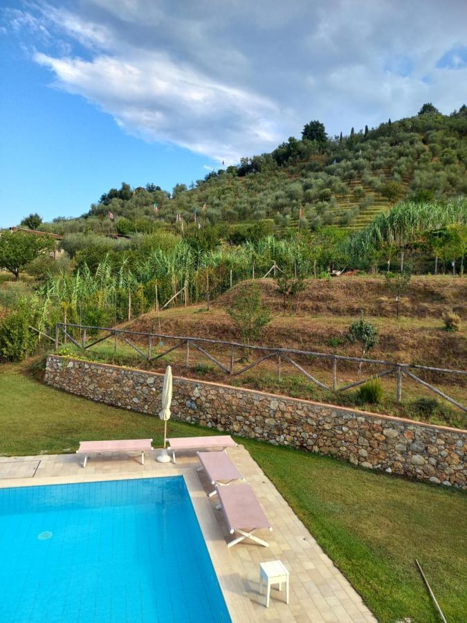 Villa Ester Camaiore Exterior photo