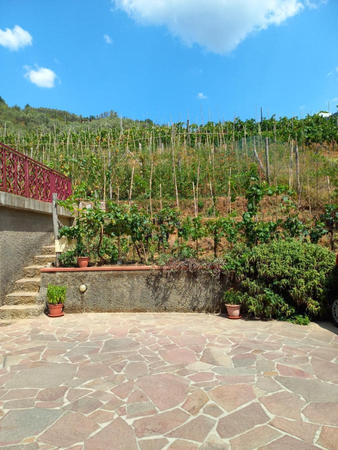 Villa Ester Camaiore Exterior photo